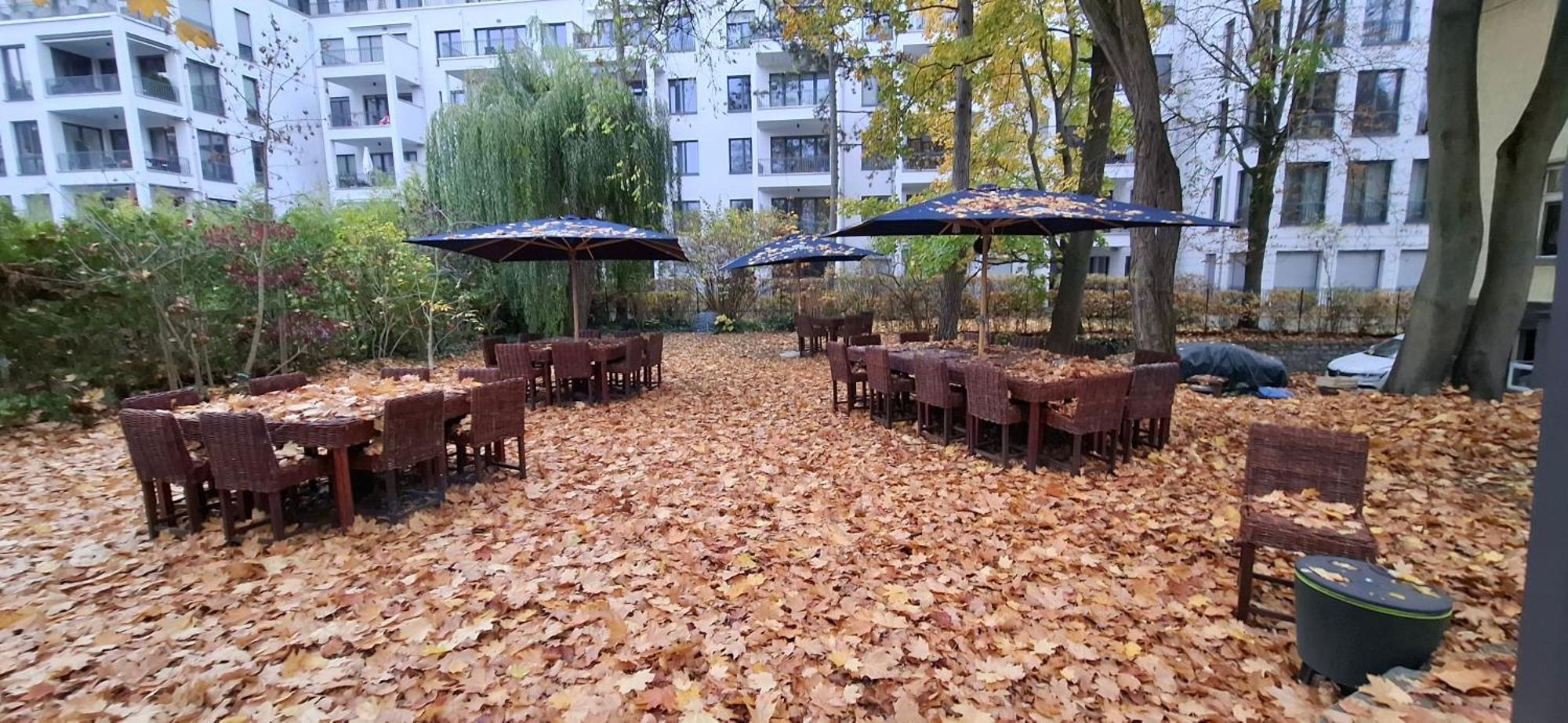 King David Garden Acomodação com café da manhã  Berlim